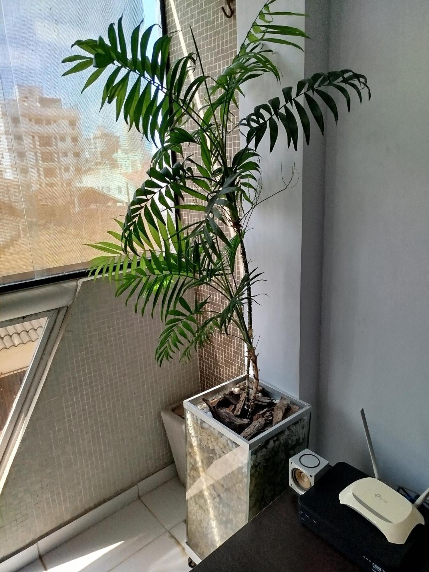 Apartamento Impecavel Na Enseada 瓜鲁雅 外观 照片